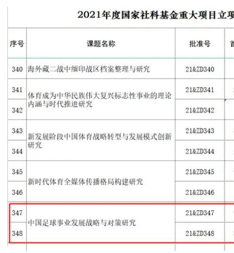 国产精品va在线