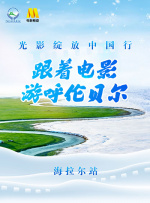 中文另类视频