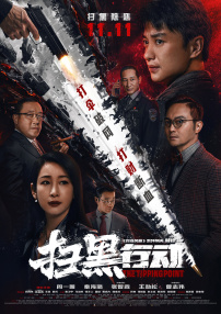 国产精品视频h