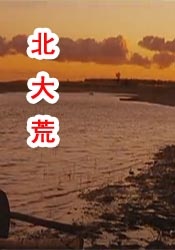 午夜夫妻生活片