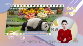 春妻