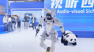 子域名大全